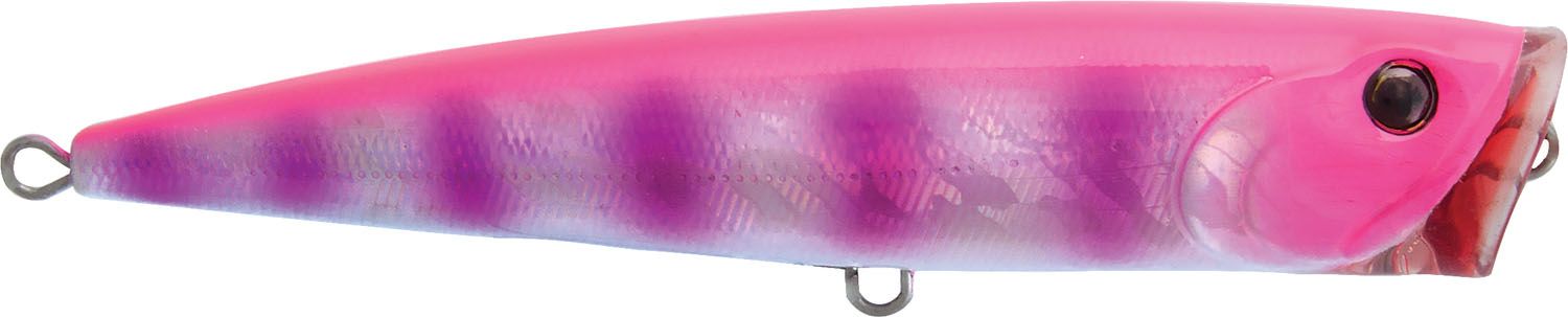 Rapture corsaro 140 ZPK