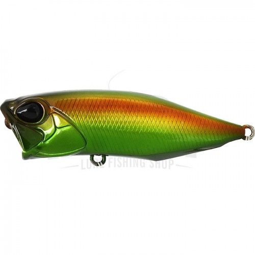 Realis Popper 64 col. CCC3177 Jewel Beetle