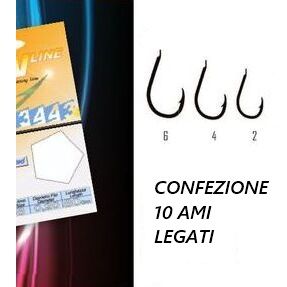 Conf. 10 Ami Legati 3443 BLN