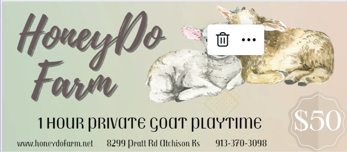 Private Goat Playtime
