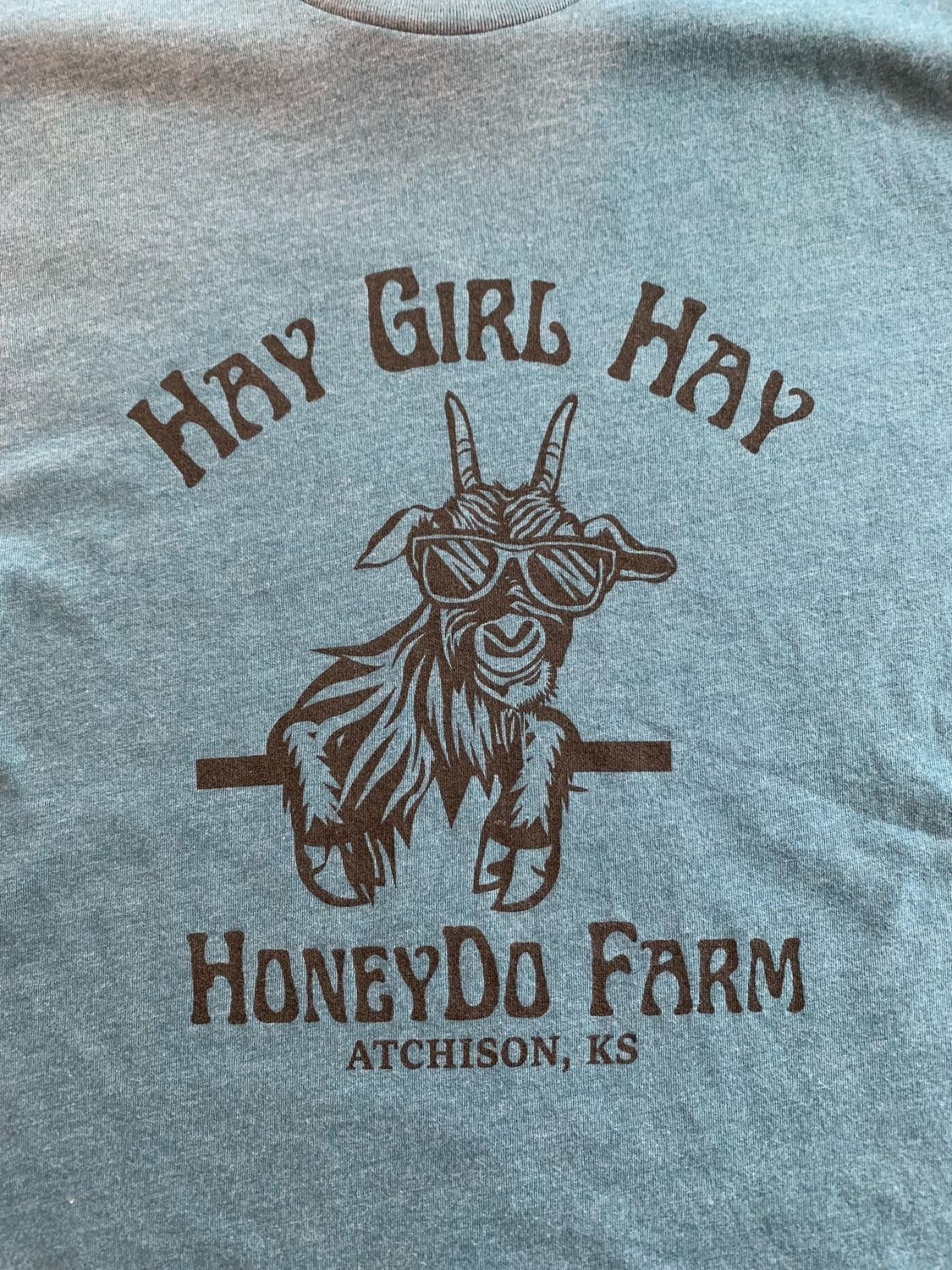 Hay Girl Hay T-shirt