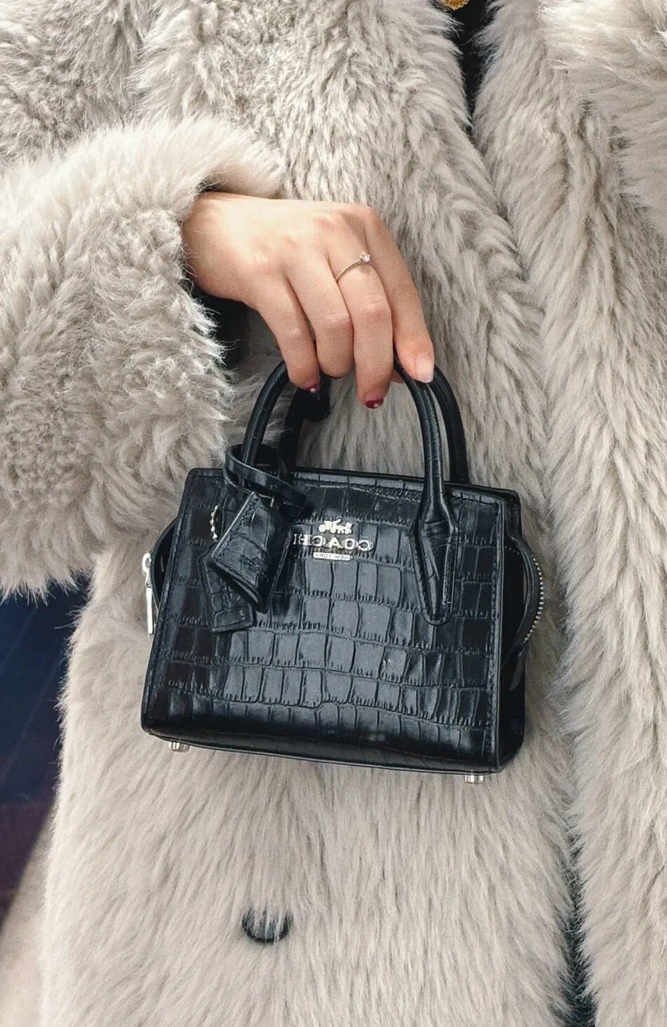Mini Bag Coach