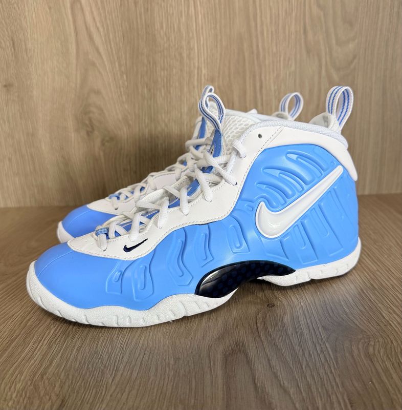 Nike air Foamposite Pro