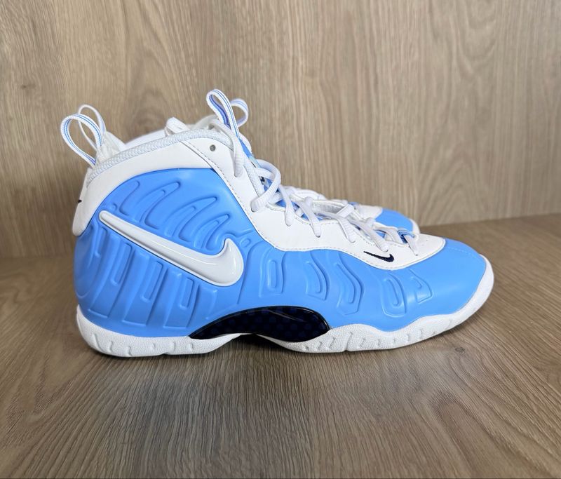 Nike air Foamposite Pro