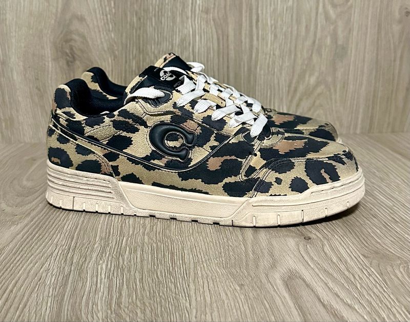 Tenis coach