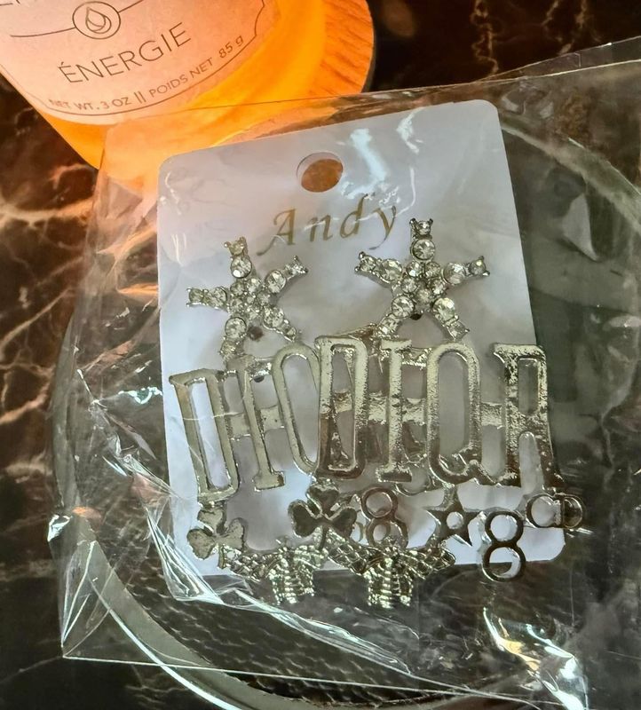 Dior Silver Earrings