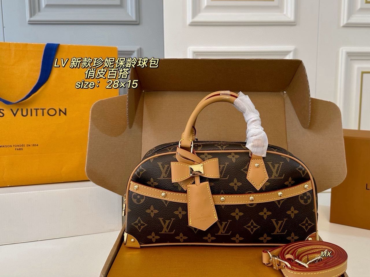LV Mono Bag