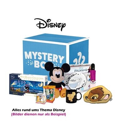 Mystery Box Disney