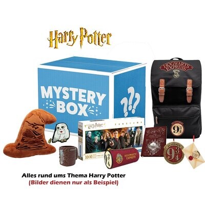 Mystery Box Harry Potter