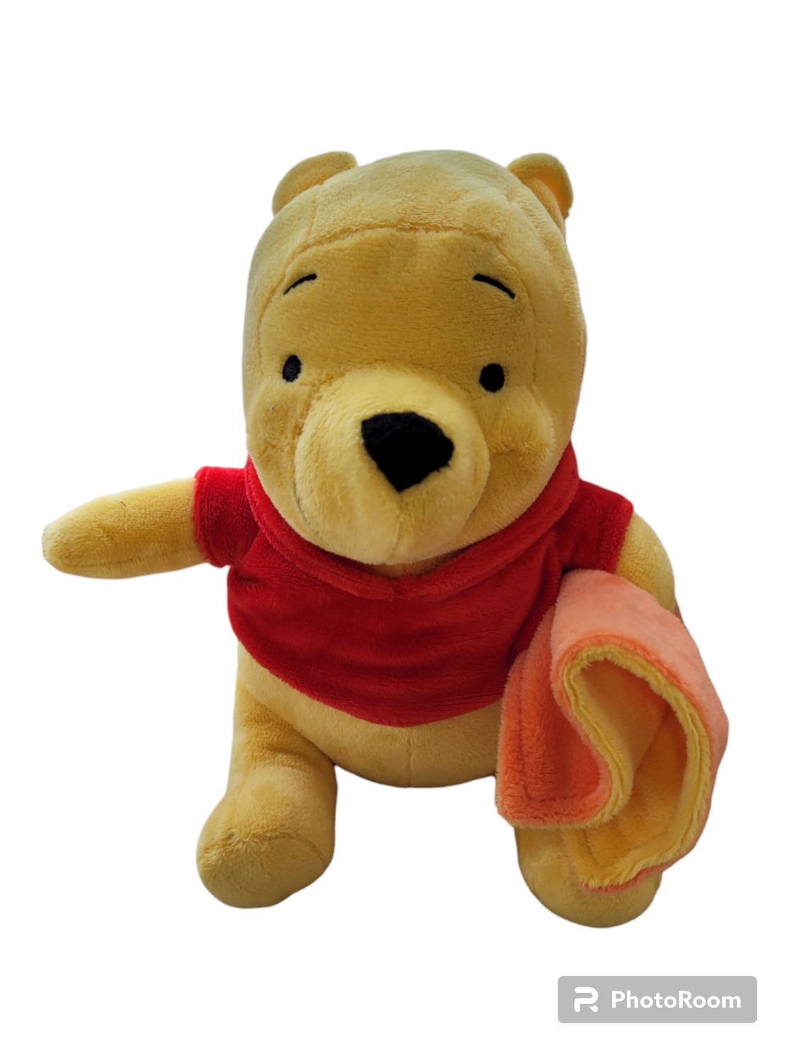 Disney Winnie Pooh mit Decke Plüschtier