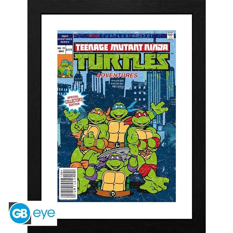 Teenage Mutant Ninja Turtles gerahmtes Bild