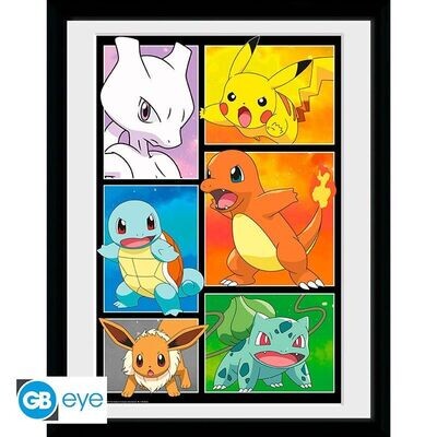 Pokémon gerahmtes Bild