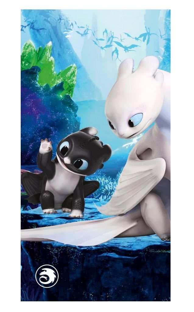 DreamWorks Drachenzähmen Handtuch