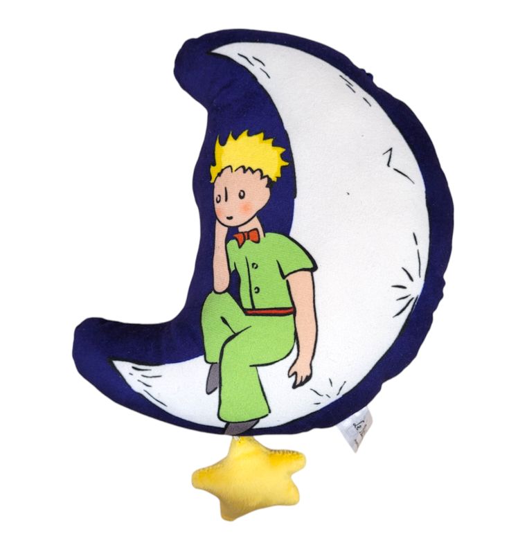 The little Prince music box