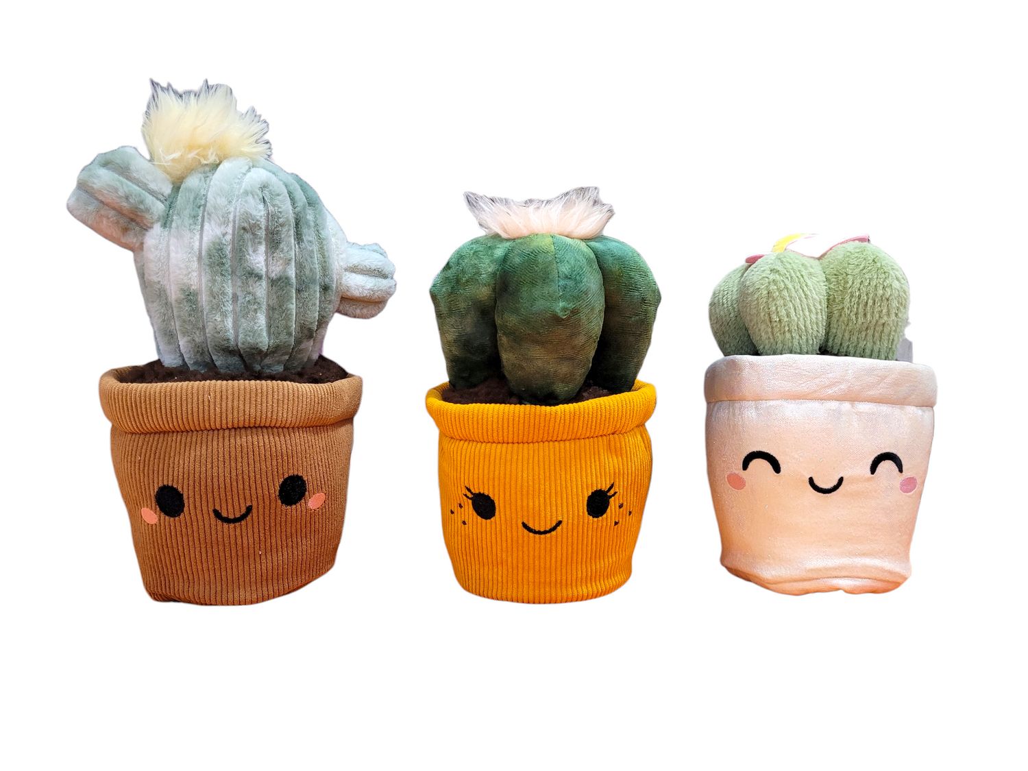 Kaktus im Topf mit Gesicht Kaktus im Topf mit Gesicht