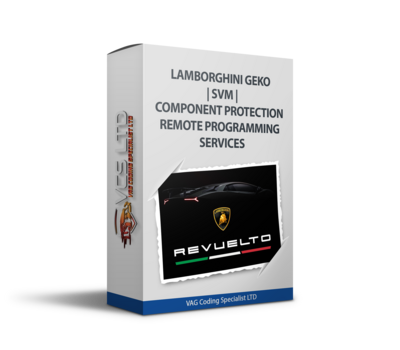 Lamborghini GeKo | SVM | Component Protection Remote Programming Services