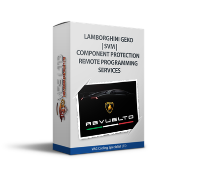Lamborghini GeKo | SVM | Component Protection Remote Programming Services Lamborghini GeKo | SVM | Component Protection Remote Programming Services