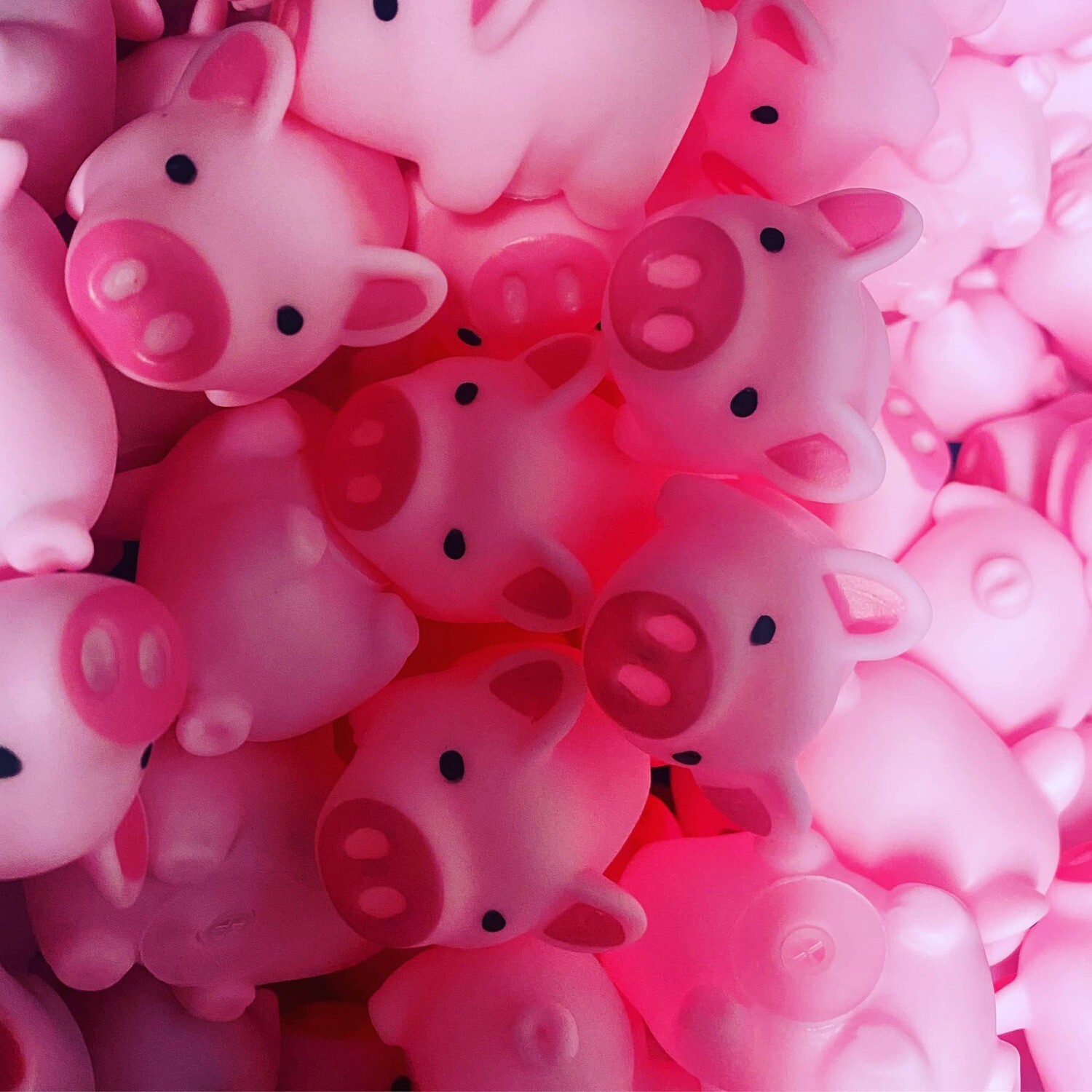 RUBBER PIGS FOR HOGGIN