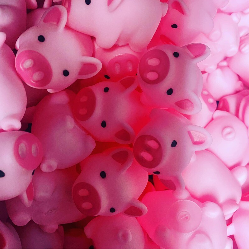 RUBBER PIGS FOR HOGGIN