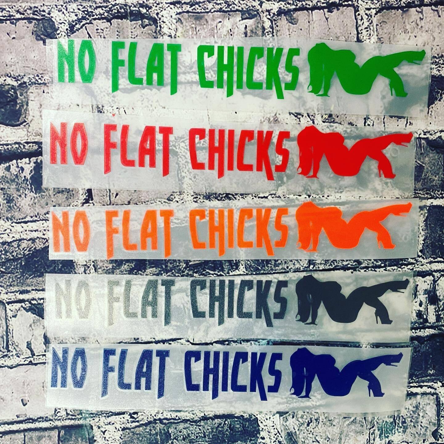 NO FLAT CHICKS- STICKER