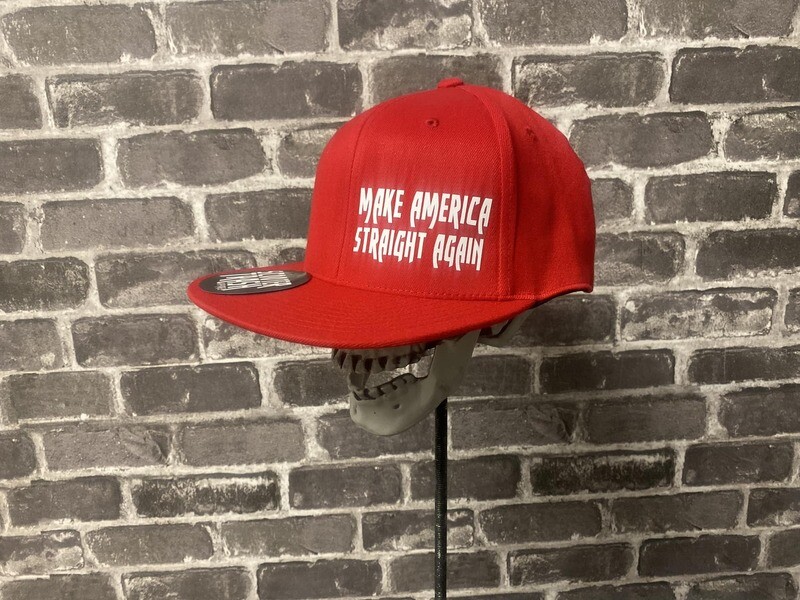 MAKE AMERICA STRAIGHT AGAIN - SNAP BACK
