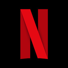 NETFLIX PREMIUM 12 MESES