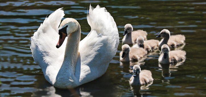 Unsere Kinder - Unsere Familie