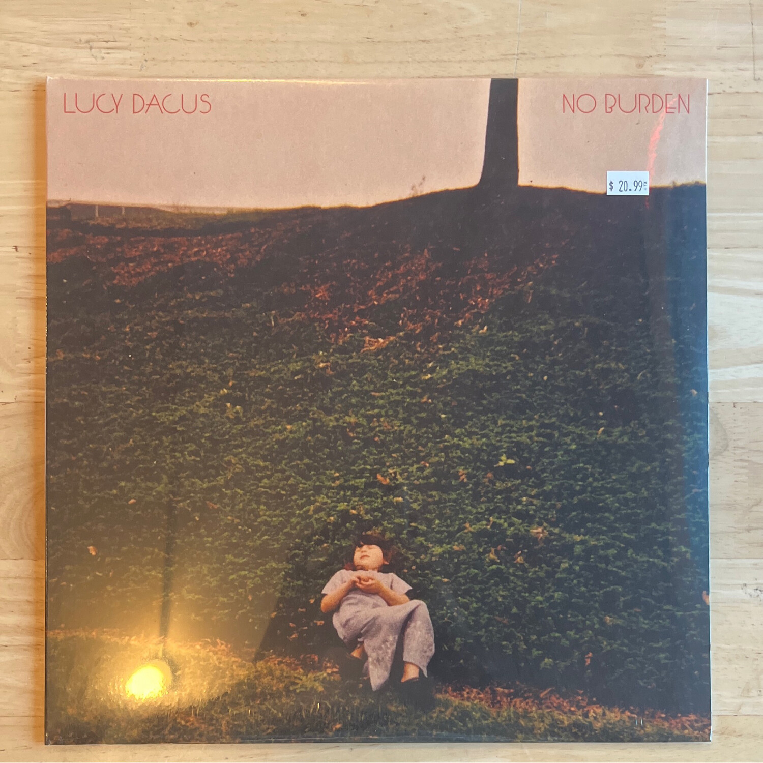 Lucy Dacus &quot;No Burden&quot; LP
