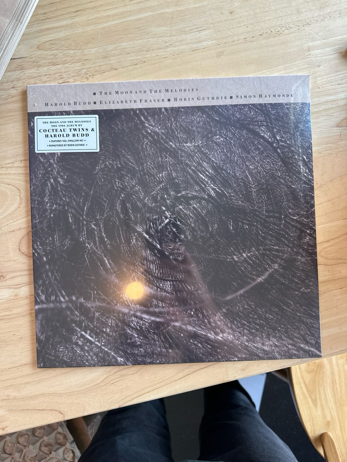 Cocteau Twins &amp; Harold Budd &quot;The Moon and the Melodies&quot; LP (2024 Remastered Reissue)