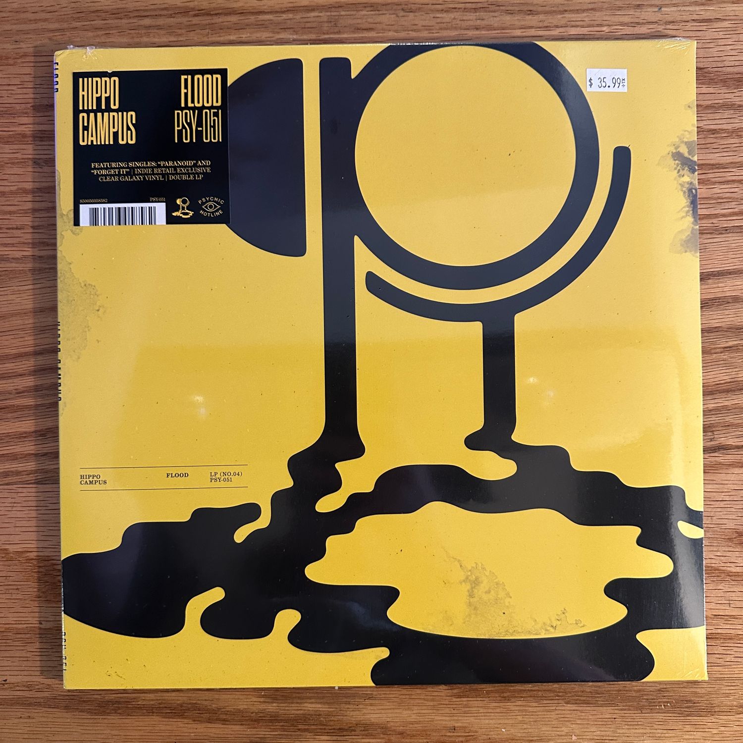 Hippo Campus &quot;Flood&quot; LP