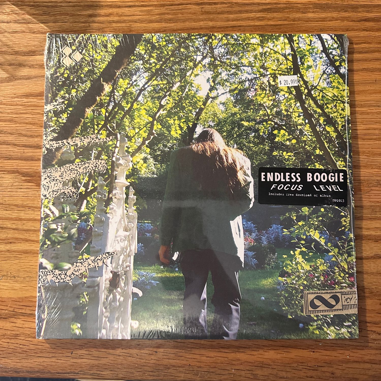 Endless Boogie &quot;Focus Level&quot; LP