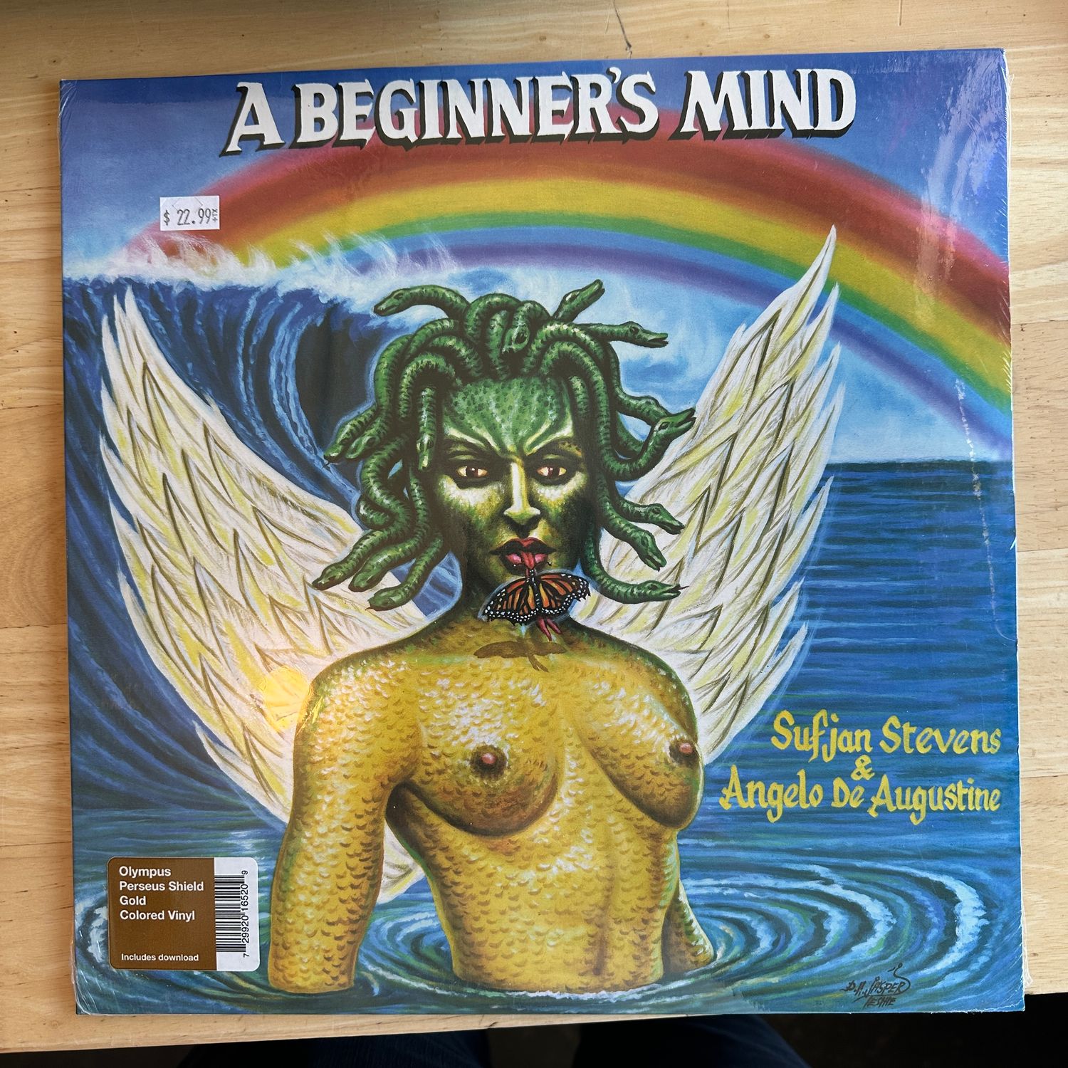 Sufjan Stevens &quot;A Beginner&#39;s Mind&quot; LP (gold vinyl)