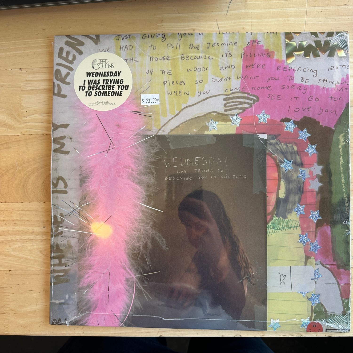 Wednesday &quot;I Was Trying to Describe You to Someone&quot; LP 