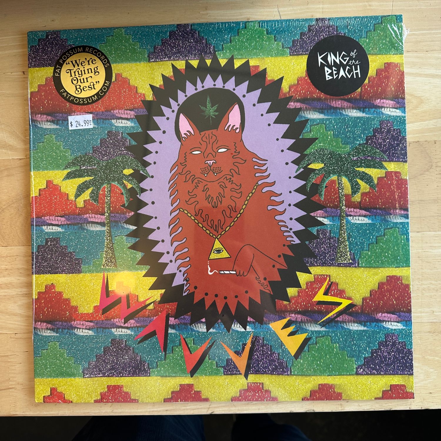 Wavves King of the Beach