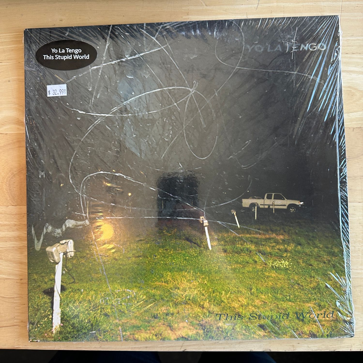 Yo La Tengo &quot;This Stupid World&quot; LP 