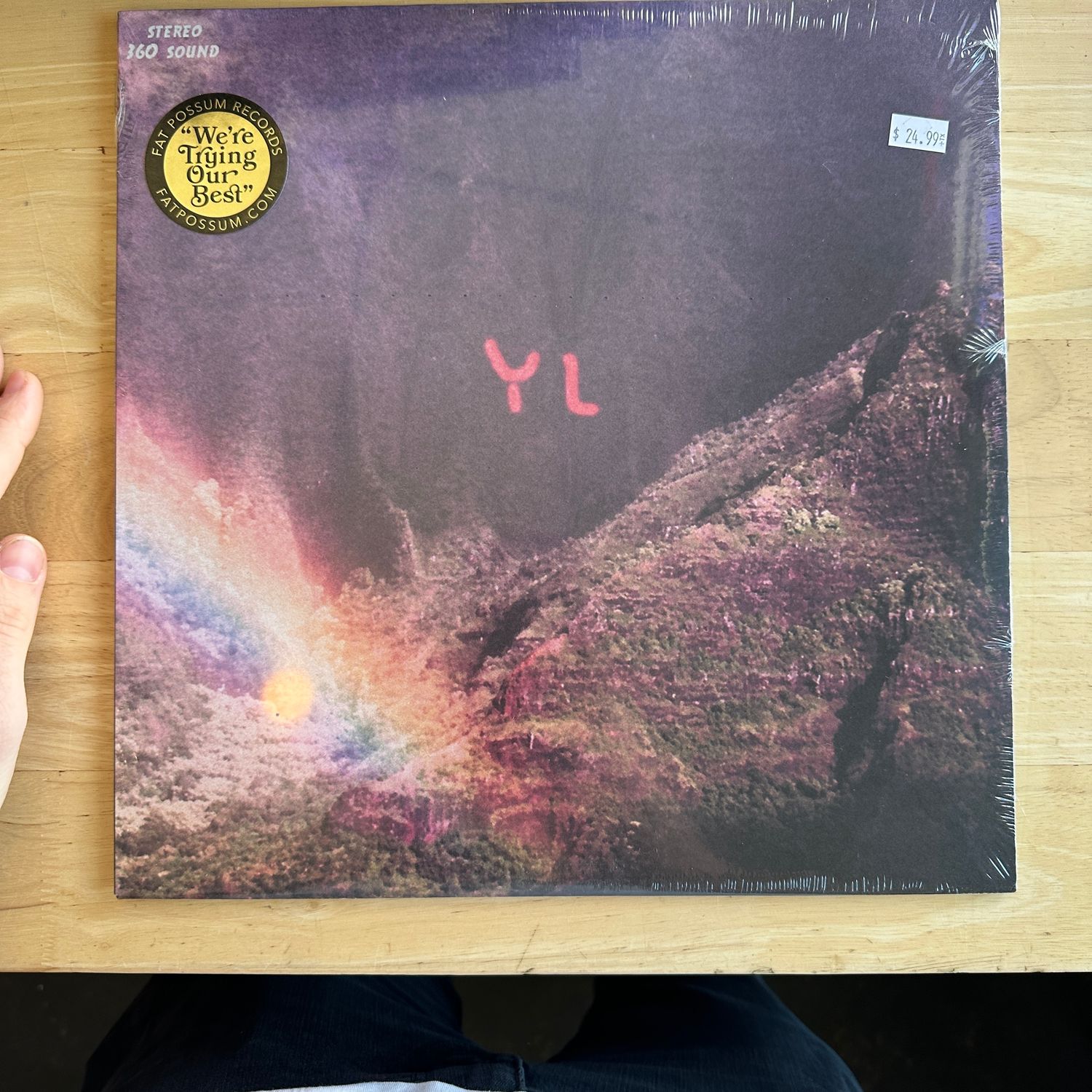 Youth Lagoon &quot;Year of Hibernation&quot; LP