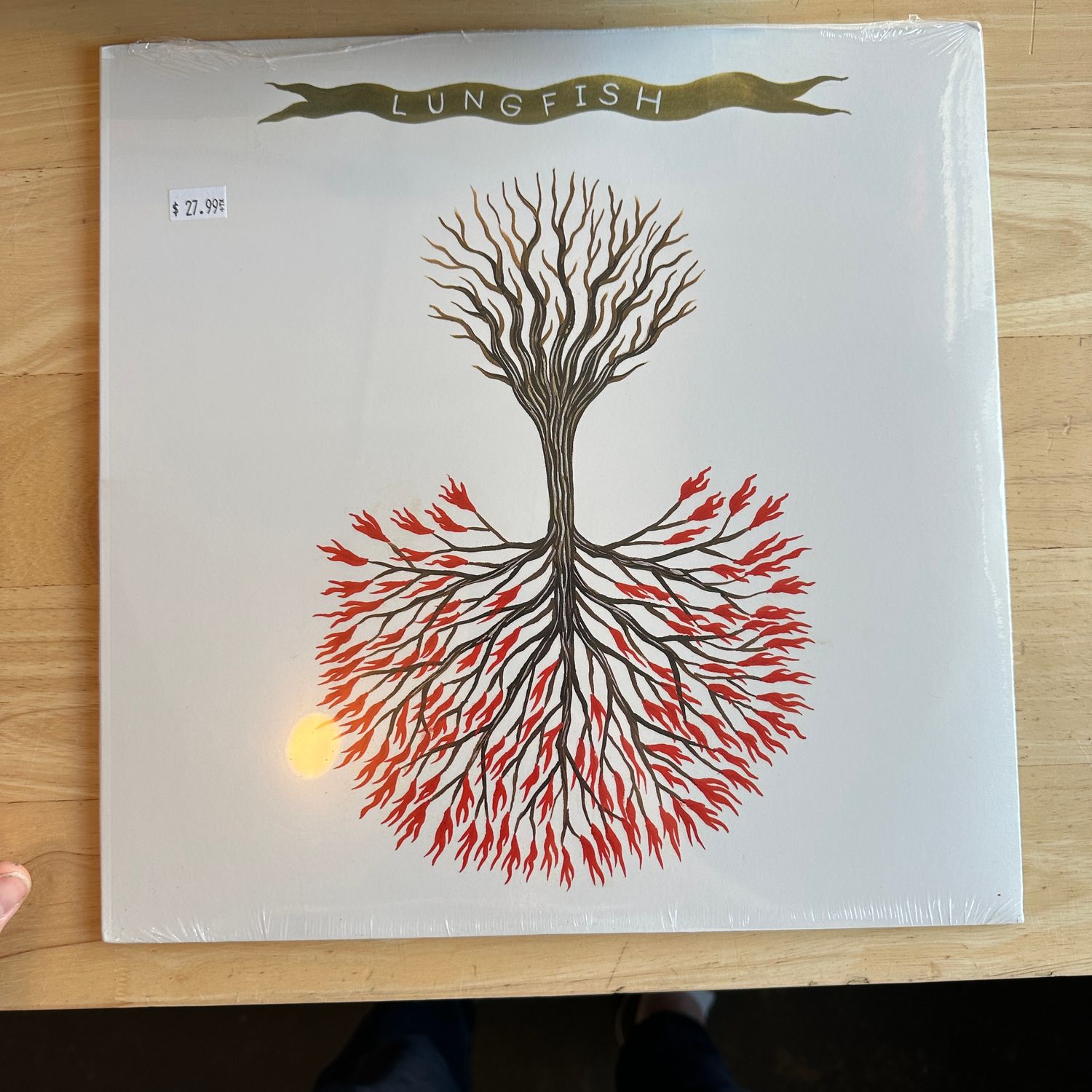 Lungfish &quot;Love Is Love&quot; LP