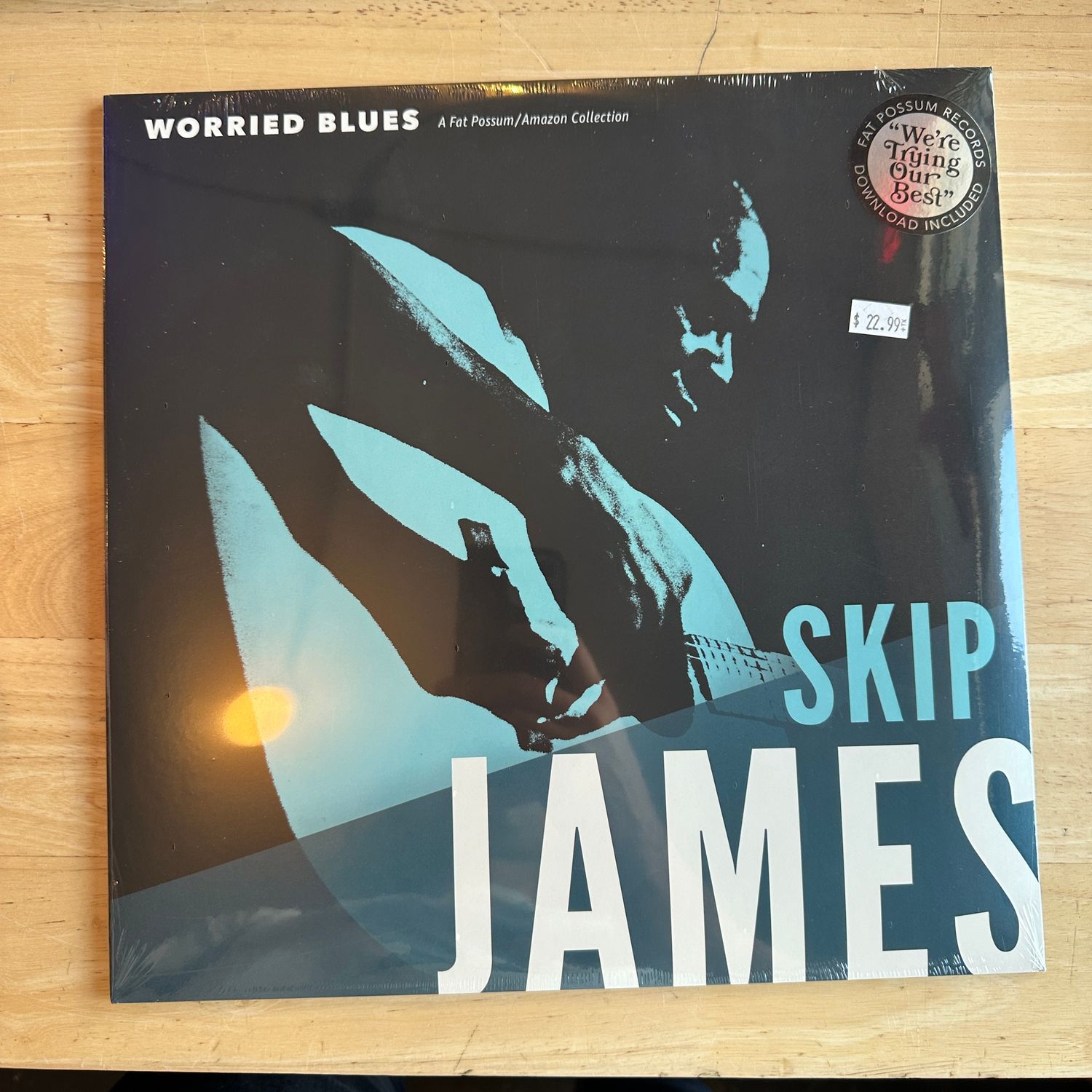 Skip James &quot;Worries Blues&quot; LP (Fat Possum)