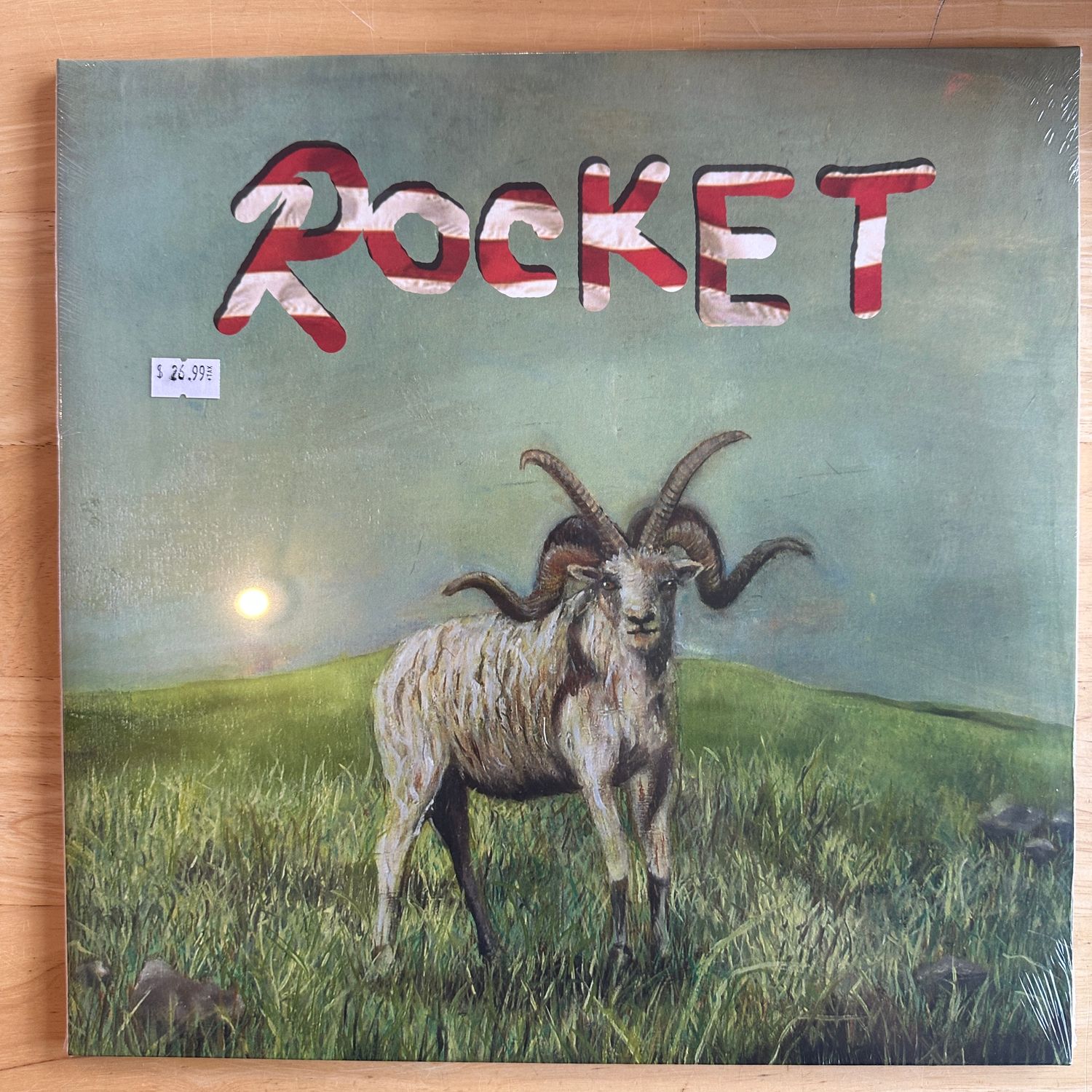 (Sandy) Alex G &quot;Rocket&quot; LP