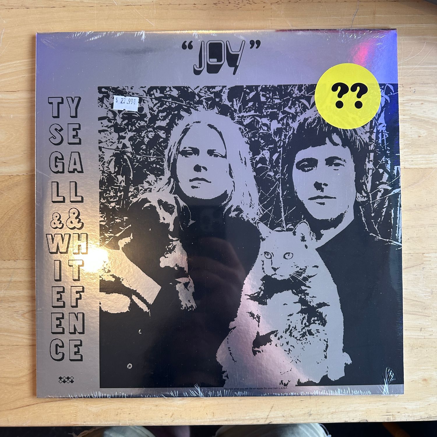 Ty Segall &amp; White Fence &quot;Joy&quot; LP