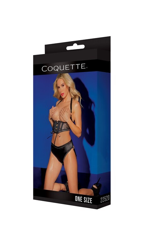 COQUETTE BLACK LABEL HARNESS &amp; PANTY BLACK O/S
