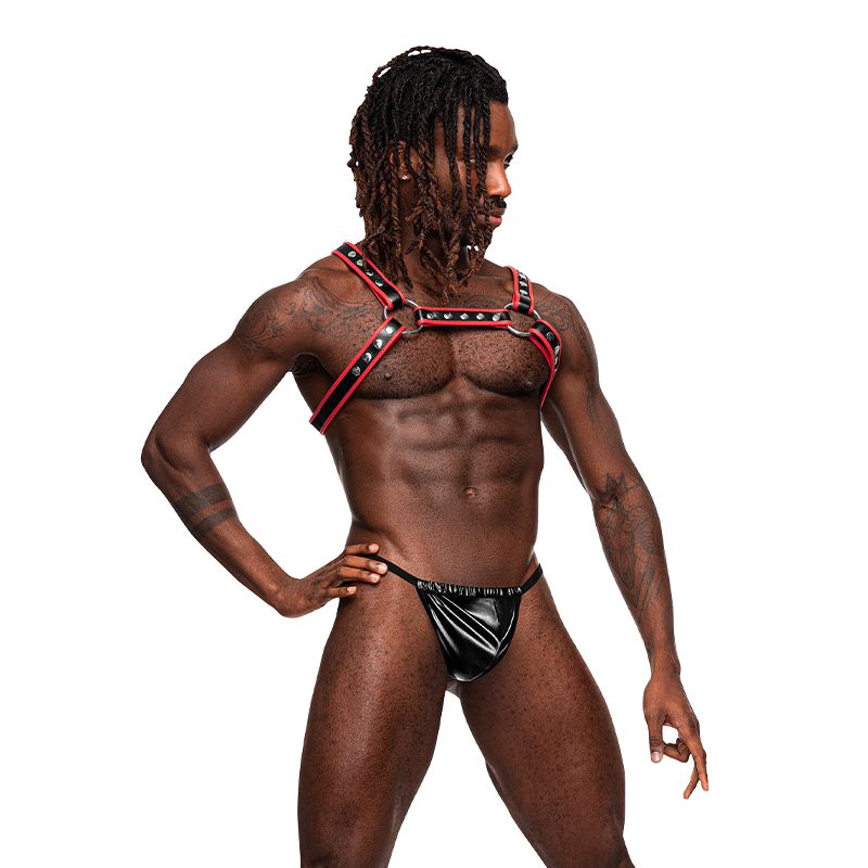 LEO LEATHER HARNESS BLACK/RED O/S