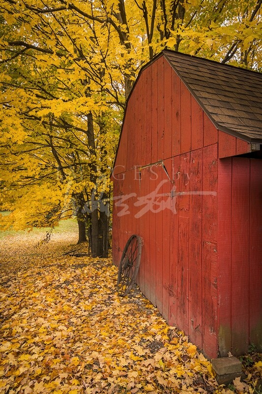 Autumn Barn