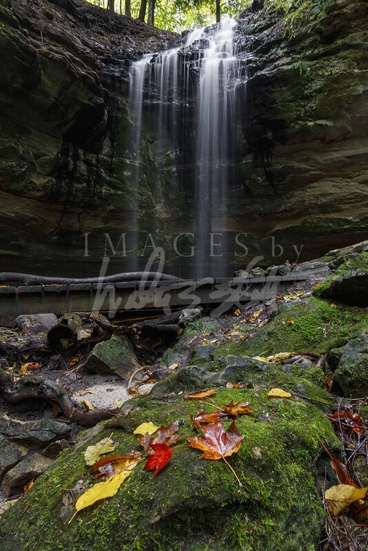 Memorial Fall