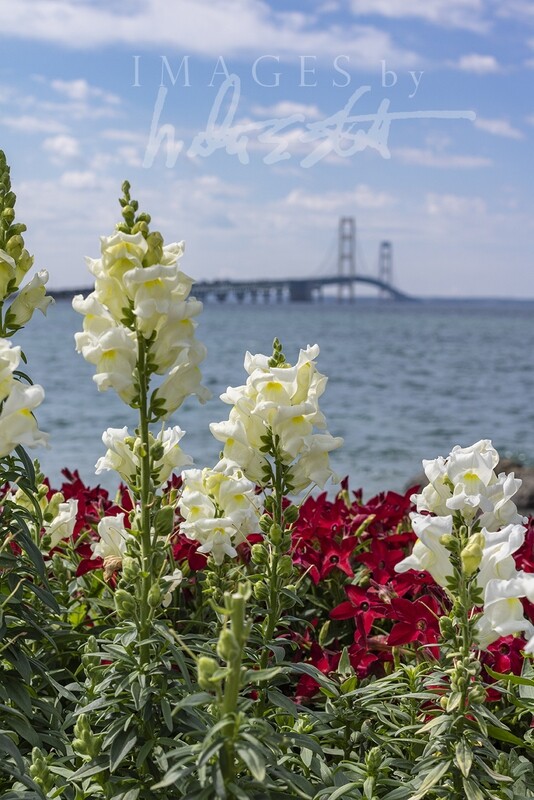 Mac Flowers