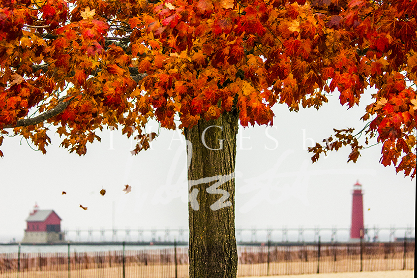 Fall Pier