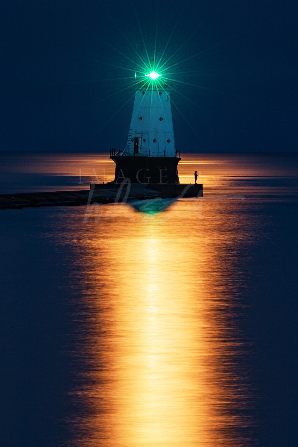 Bathed In Moonlight