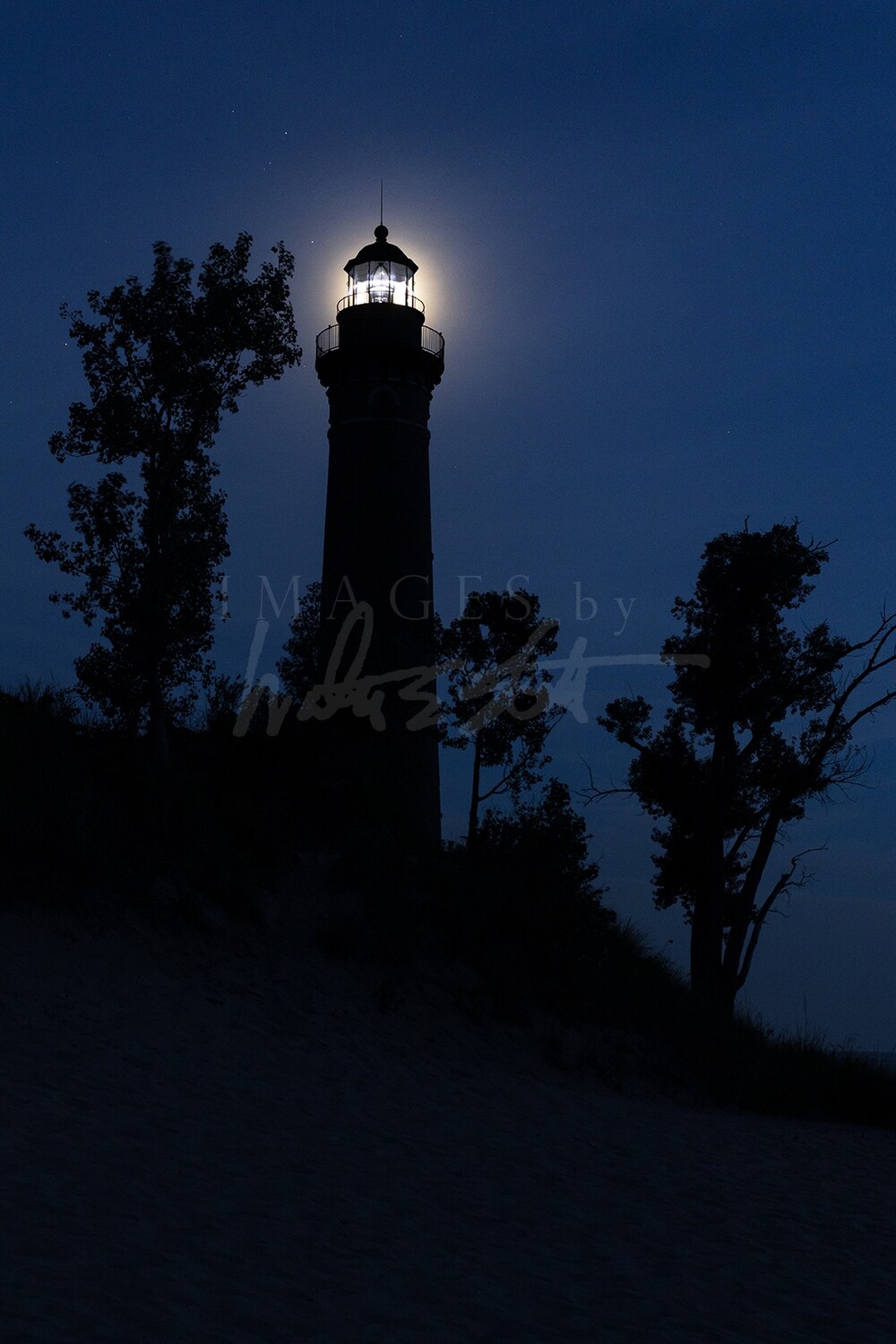 Backlit by the Moon