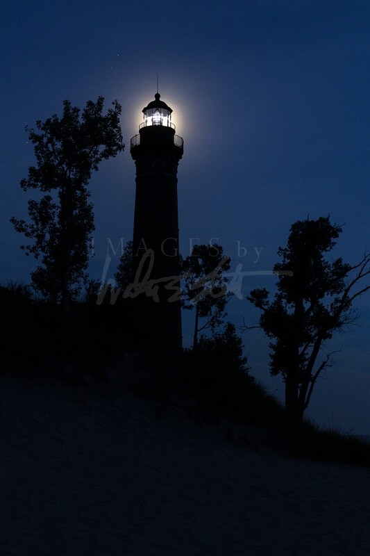 Backlit by the Moon