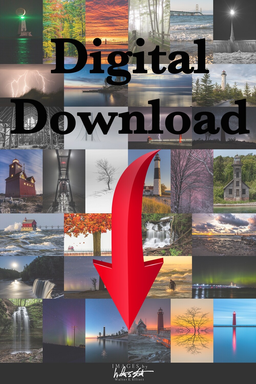Business Digital Download